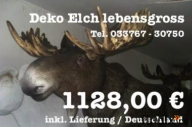 1128,00 € inkl. Lieferung / Deutschland für einen 