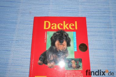 Dackel-Führer   ein  Buch für Hunde - Besitzer