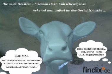 Du möchtest ne Holstein Deko kuh lebensgross / neues