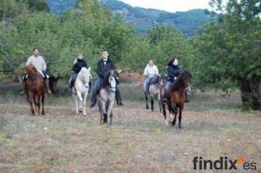 Excursiones y rutas a caballo en Castellon