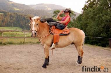 Harmonic Horse Training & Beritt