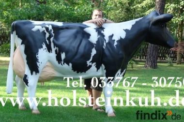 Hol Dir ne Holstein - Friesian Deko Kuh - neues 