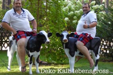 Holstein - Friesian Deko Kälbchen lebensgross - 