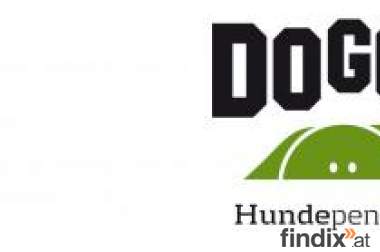 Hundepension DOGGYWOOD - Hundepension für Hundestars