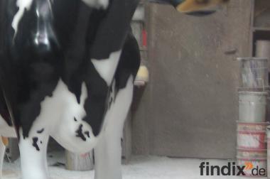 Jetzt gibt es die neue Holstein Friesian Deko Kuh 