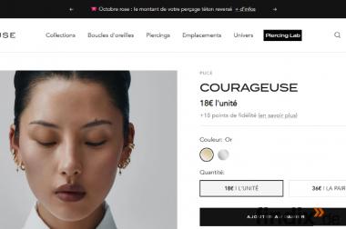 Professioneller E-Commerce-Shop in 72 Stunden –