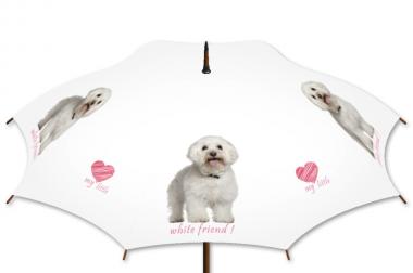 Regenschirm mit eigenem Bild oder Logo