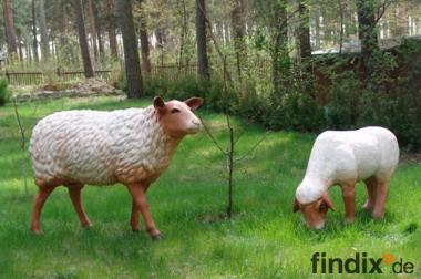 Schafe für Ihren Garten ...Tel. 033767 - 30750