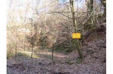 Steinbruch mit Wald u. Wiesen- ca. 6.512 m²- am 