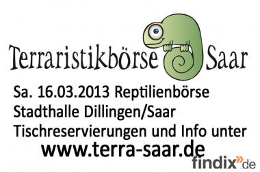 Tische für Reptilienbörse 16.03.2013 noch frei