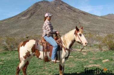Westernpferde direkt aus Arizona - Hidalgo American 