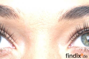 Wimpernextensions bei Absolut Diva Lashes in 