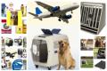 Flugboxen gemäß IATA Bestimmungen für Hunde, 