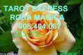 tarot express rosa magica 905.404.067 3MIN 1,42 E desde fijo y 1,