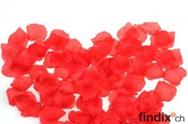 1000 Rosenblätter rot