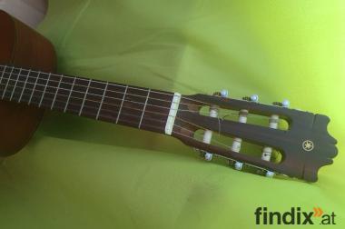 AKUSTIK Gitarre  braun