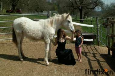 Alleinerziehende Mutter mit Kind und Pferd sucht 