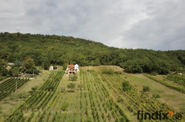 Anwesen mit Weinberg und Wohnhaus in Vinica / 