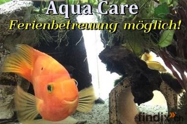 Aqua Care // Aquarium Service // Reiniger