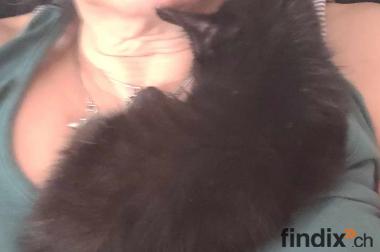 blacky baby
