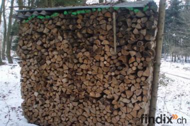 Brennholz zu verkaufen