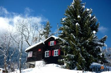 Chalet in Haute-Nendaz zu verkaufen