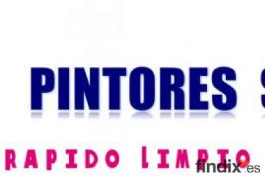 empresa de pintura sierra
