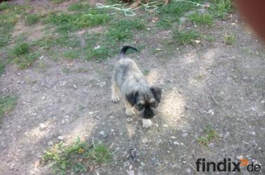 freunde gesucht