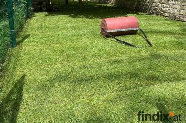 Gartenservice für Privat und Firmen