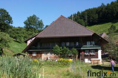 Grosses stilvoll renoviertes Schwarzwaldhaus am Fusse
