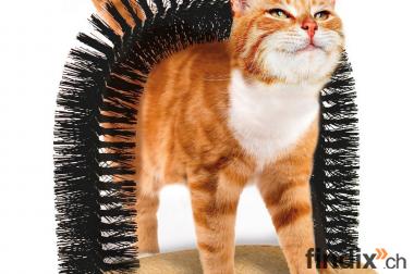 Haarfänger Borsten für Katzen mit kratzfestem 
