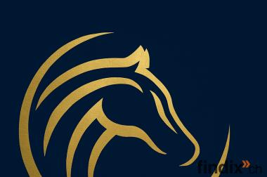 Individuelles Pferdetraining & Reitunterricht