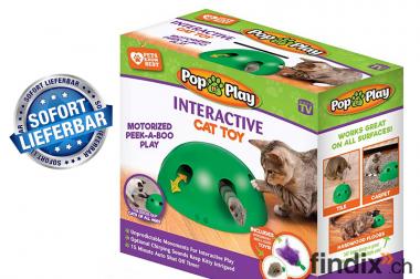 Interaktives Katzenspielzeug Katzen Spielzeug Zuhause