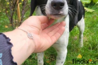 Liby, a.d.Tierschutz, sucht Happy-Home