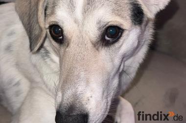 Nya sucht Happy-Home