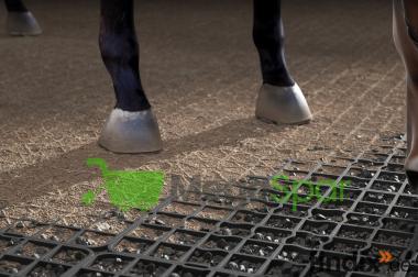 Paddockplatten & Rasengitter kaufen | Kiesgitter Top 