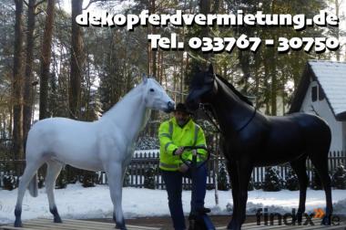 Pferd Horse lebensgroß als 3D Modell mieten statt 