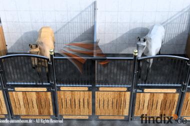 Pferdebox & Boxenstall - Angebot prüfen Boxenfronten