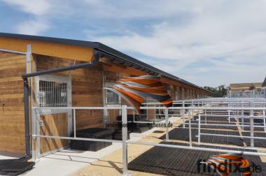 Pferdebox & Stallbau, Pferdestall, Offenstall | 