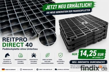 Rasengitter kaufen & Bodengitter ohne Unterbau für 