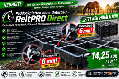 ReitPRO Direct 40 Paddockplatten & Rasengitter kaufen