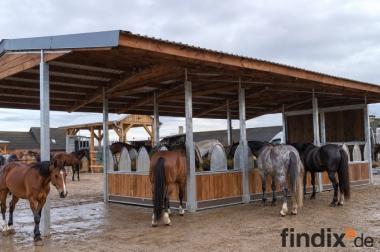 Robuste Heuraufen für Pferde | Futterraufen für 