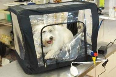 Sauerstoffbox - Sauerstoff-Box für Tiere - Grösse: 