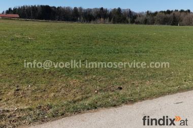 Sonnige Grundstücke Salzburger Seengebiet