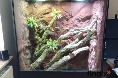 Terrarium 120x60x200 mit Glasfaser-Echtfelswand wie 