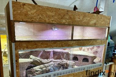 Terrarium für Bartagamen