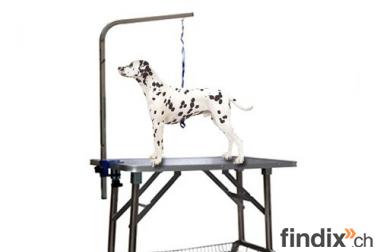 Trimmtisch Schweiz für Hund mit Ablage 90x60x75cm