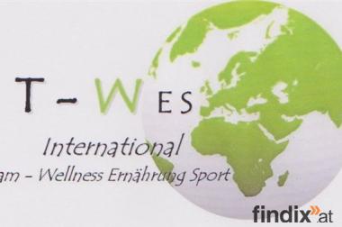Verdienen Sie "mehr" mit T-WES International