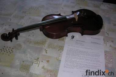 Violine zu verkaufen