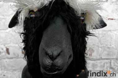 Walliser Schwarznasenschaf Maske Fasnacht Kostüm 